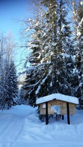 The Old Logging Camp talvel