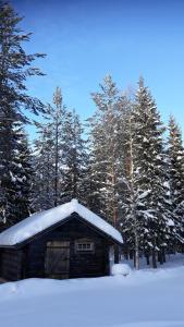 The Old Logging Camp talvel
