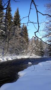 The Old Logging Camp talvel