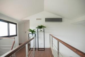 Una escalera con dos plantas en macetas en un edificio. en Casa do Ácer, en São Vicente Ferreira