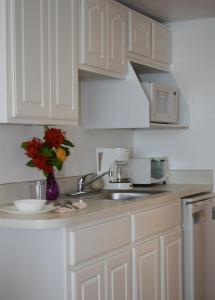 Kitchen o kitchenette sa Hotel on the Cay