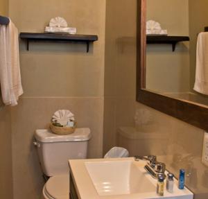 een badkamer met een wastafel, een toilet en een spiegel bij Casa Madonna La Providence in Guadalajara