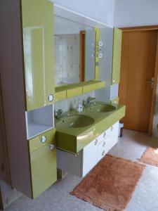 uma casa de banho com um lavatório verde e um espelho em Tödter em Soltau