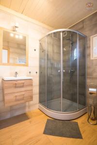 a bathroom with a shower and a sink at Old Tree Village & Restaurant in Oświęcim