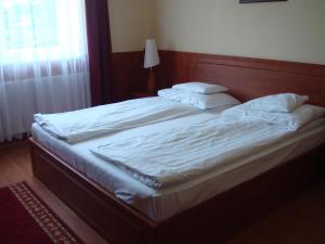 Major Hotel És Palóc Apartmanház 3170 Szécsény, Salgótarjáni út 4. kép - 2