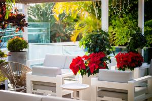 a patio with white chairs and red flowers at Vanilla Garden Boutique Hotel - Adults Only in Playa de las Americas