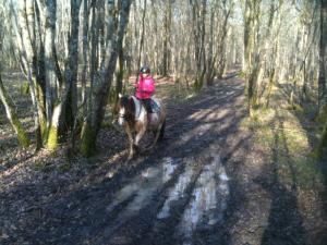 uma pessoa a andar a cavalo por uma estrada de terra em Le Terrier Blanc em Argenton-sur-Creuse