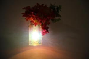 a vase with flowers in it with a light at Miheen Hotel & Resort - Anuradhapura in Mihintale