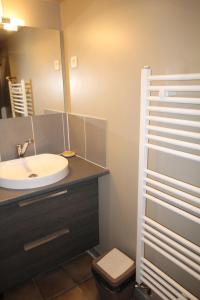 a bathroom with a sink and a toilet and a mirror at Chambre d’hôtes de Vauguenige in Saint-Pardoux