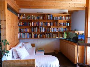 Biblioteca nell'appartamento