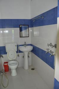y baño con aseo y lavamanos. en Udai Haveli Guest House, en Udaipur