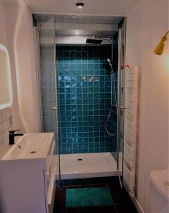 baño con ducha y puerta de cristal en Appartement spacieux avec une vue sur Tours ( 38m²) -Gite de Bellevue en Tours