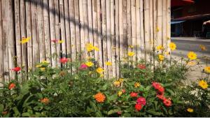 a bunch of flowers in front of a fence at Apartment Khunpa in Lamai