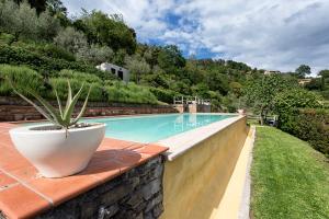 una pianta in vaso seduta su un muro accanto alla piscina di Villa Del Sole a Cortona
