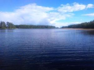 une grande masse d'eau avec des arbres à l'arrière-plan dans l'établissement Holiday Home Villa paloska- cjoe054 by Interhome, à Liperi 9 autres photos