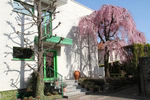 a building with a tree with pink flowers at Albergo Nardini in Lentate sul Seveso