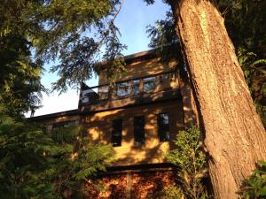 Hyphocus Inn في أوكلويليت: منزل قديم تشاهد من خلال شجرة