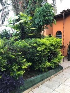 a grouping of bushes and trees in front of a house at casa em Martins de Sá in Caraguatatuba