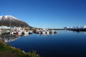 eine Gruppe von Booten, die in einem Yachthafen mit einem Berg angedockt sind in der Unterkunft Dalvík Hostel Gimli in Dalvík