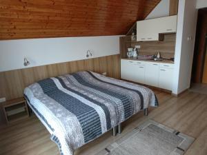 Kuchyňa alebo kuchynka v ubytovaní Klára Villa Hévíz