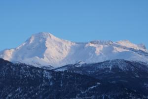 una montagna innevata con alberi in primo piano di Haya a Naters