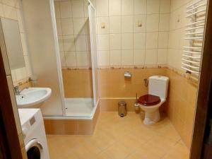 a bathroom with a shower and a toilet and a sink at Apartament ogrodowy in Rydzewo