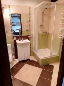 a bathroom with a shower and a sink and a toilet at Apartament ogrodowy in Rydzewo