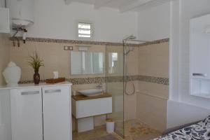 un bagno con doccia e lavandino di "Pépite" a Petit-Bourg