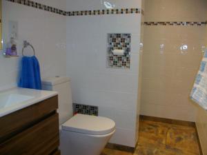een badkamer met een toilet, een wastafel en een douche bij The Old Cowstall in Somerton