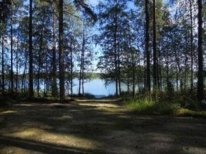 vistas a un lago en un bosque con árboles en Holiday Home Villa paloska- cjoe054 by Interhome, en Liperi
