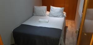 サン・セバスティアン・デ・ロス・レイエスにあるApartamento Sanseのベッド1台(枕2つ、白いタオル付)