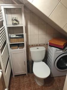 Koupelna v ubytování Apartman U Hřiště Krkonoše