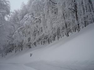Appartamento Rialto Terminillo talvel