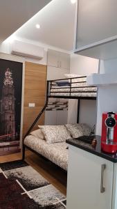 1 dormitorio con 1 litera en una habitación en Ninho 0.1, en Vila Nova de Gaia