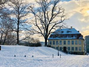 ein Haus auf einem schneebedeckten Hügel in der Unterkunft Hofgärtnerhaus in Dresden
