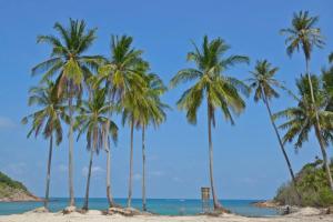 Foto dalla galleria di Delima Redang Resort a Redang Island