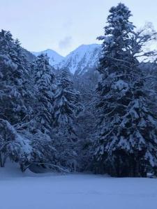 アラヌエにあるAppartement à la montagneの山を背景に雪に覆われた木々
