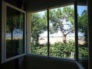 Κήπος έξω από το Hotel Adriatico