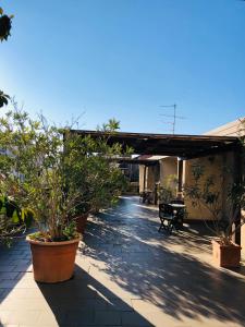 a patio with potted plants and a building at Hotel Delfina in Signa