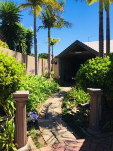 a garden with palm trees and a walkway at Dolphin Circle Bed and Breakfast in Plettenberg Bay