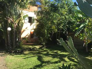 une arrière-cour d'une maison avec des arbres et de l'herbe dans l'établissement Ti Kaz Ravinala, à Bois dʼOlive