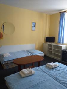 Postel nebo postele na pokoji v ubytování Vila Terezie