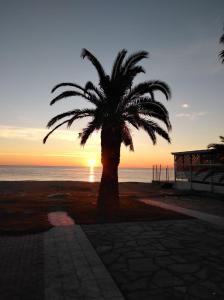 eine Palme am Strand bei Sonnenuntergang in der Unterkunft DiVa apartment in Asprovalta