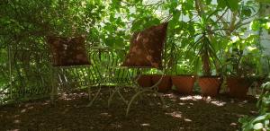 Galeriebild der Unterkunft Simondium's Country Lodge in Simondium + 62 Fotos