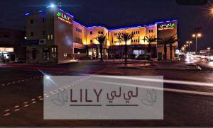 ein Schild an der Seite einer Stadtstraße in der Nacht in der Unterkunft Lily Hotel Suite Mubarraz in Al Hofuf