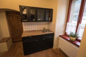 Kitchen o kitchenette sa Statek Jakubov