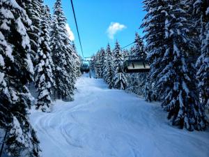 Pension Edelweiss Top 25 v zime