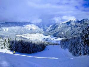 Pension Edelweiss Top 25 v zime