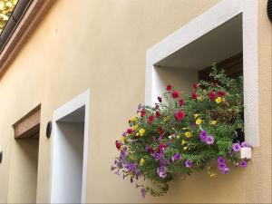 un vaso da fiori appeso a una finestra su un edificio di Little Canal 14 a Venezia