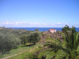 a house on a hill with the ocean in the background at Nikolaos Studios Skala in Skala